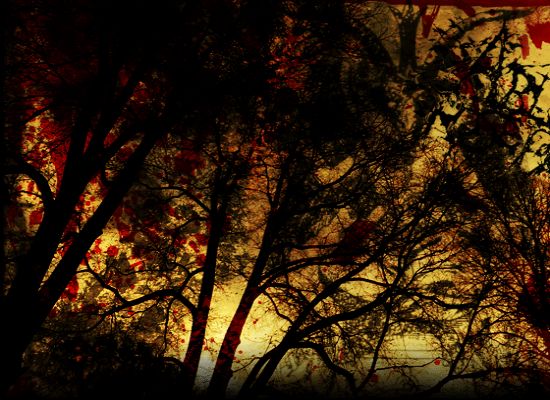 Band Background